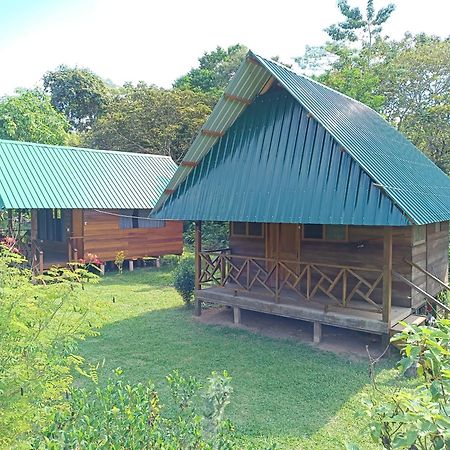 Quirquincho House Lodge Puerto Maldonado Exteriör bild