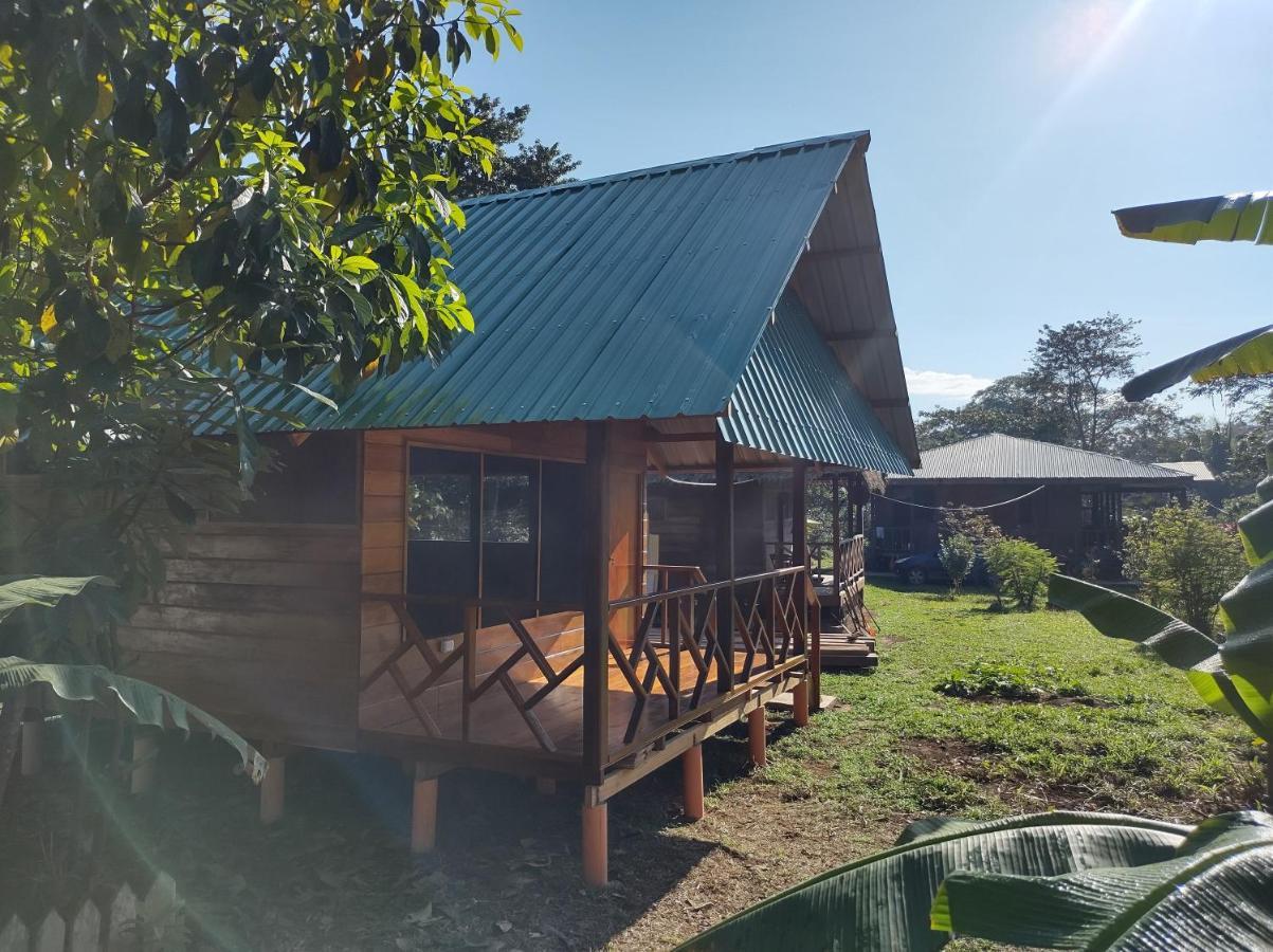 Quirquincho House Lodge Puerto Maldonado Exteriör bild