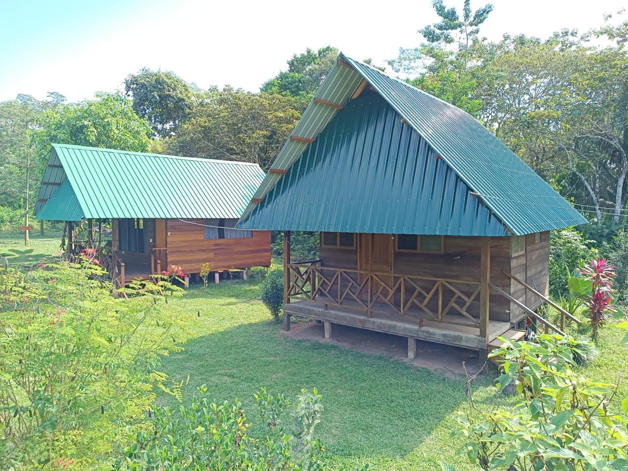 Quirquincho House Lodge Puerto Maldonado Exteriör bild