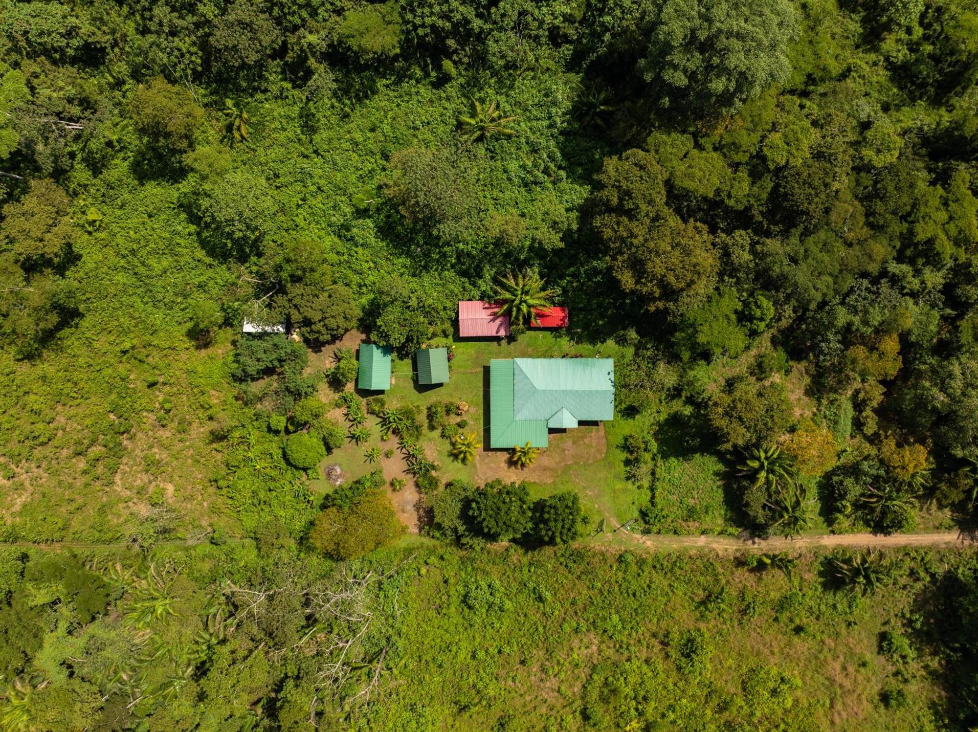 Quirquincho House Lodge Puerto Maldonado Exteriör bild